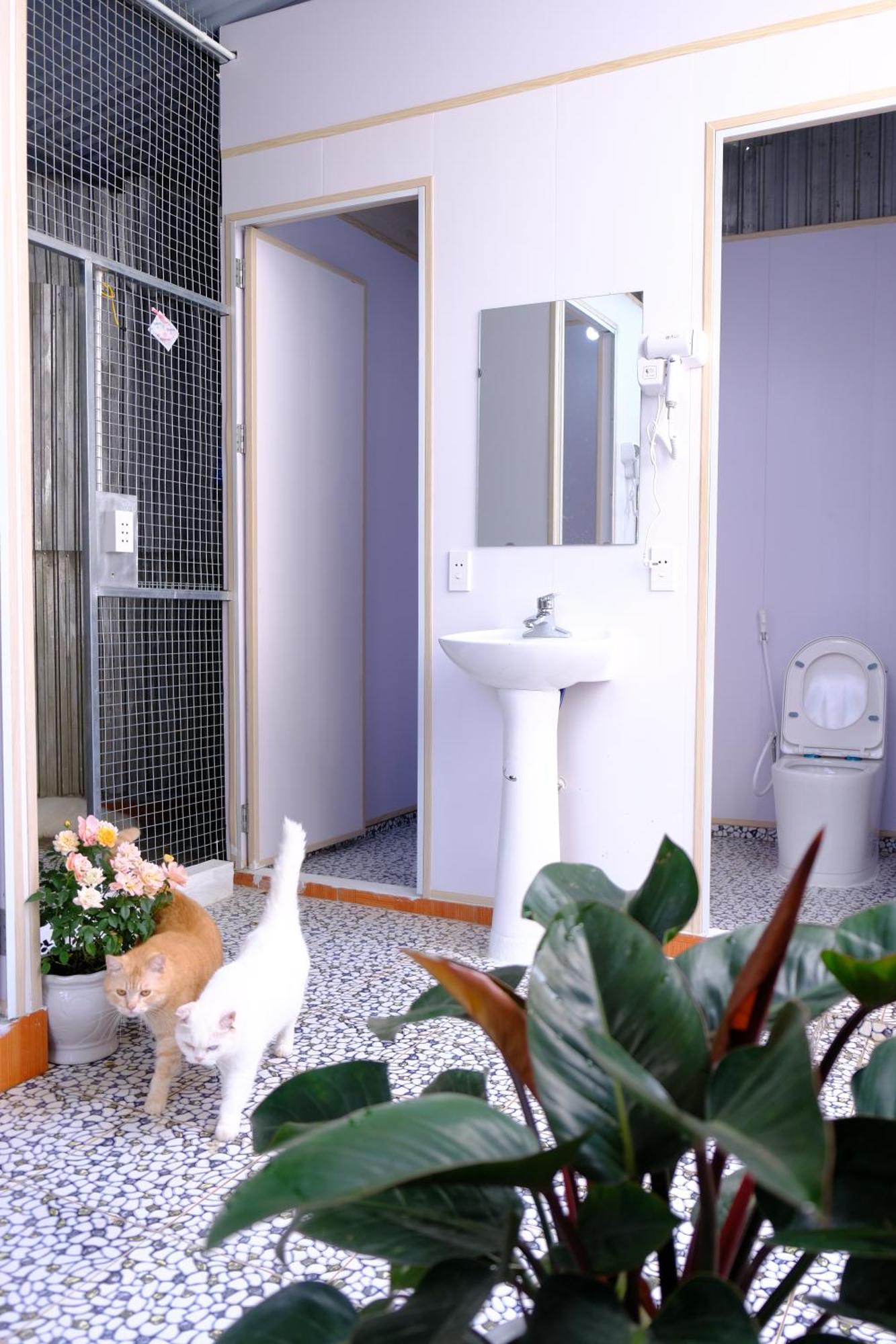 Lazy Cat Homestay - Motorbikes Rental & Tours Ha Giang Esterno foto